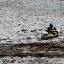 <p align="left">Aperçu sur une plage. Du "land art" gaspésien.